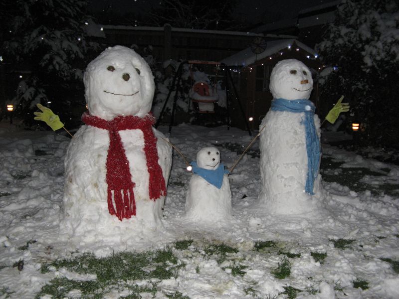 Simon, Alison and little James, AKA The Jimbob What to do with the snow in the UK.